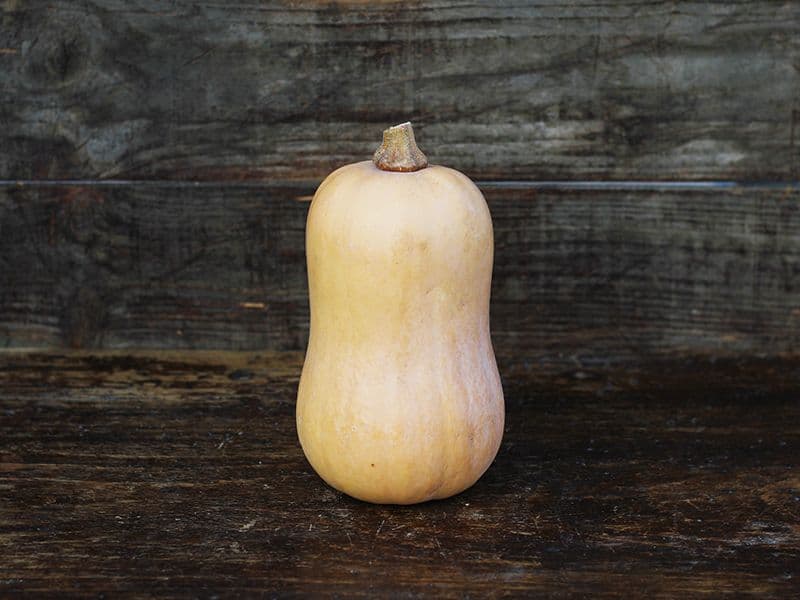 Butternut Squash